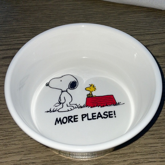 Peanuts Dog Snoopy Pet Bowl Poshmark